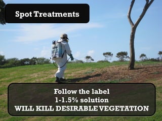 Spot Treatments




         Follow the label
          1-1.5% solution
WILL KILL DESIRABLE VEGETATION
 