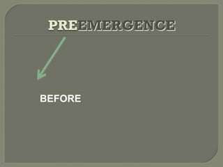 PREEMERGENCE




BEFORE
 