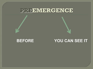 PREEMERGENCE




BEFORE   YOU CAN SEE IT
 