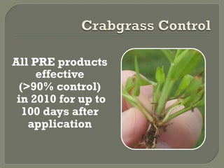 All PRE products
     effective
  (>90% control)
 in 2010 for up to
   100 days after
    application
 
