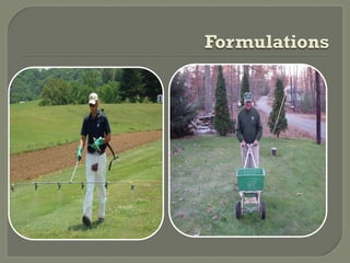 Formulations
 