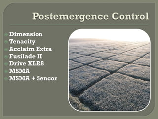   Dimension
  Tenacity
  Acclaim Extra
  Fusilade II
  Drive XLR8
  MSMA
  MSMA + Sencor
 