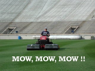 MOW, MOW, MOW !!
 