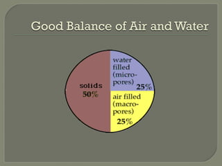 Good Balance of Air and Water
 