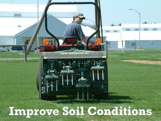 Improve Soil Conditions
 