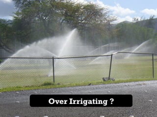 Over Irrigating ?
 