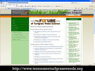 http://www.tennesseeturfgrassweeds.org
 