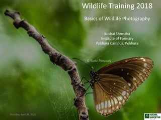 Wildlife Training 2018
Basics of Wildlife Photography
Kushal Shrestha
Institute of Forestry
Pokhara Campus, Pokhara
Thursday, April 26, 2018 1
 