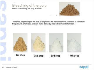 Basics of wood, pulp and paper november 2012 | PDF