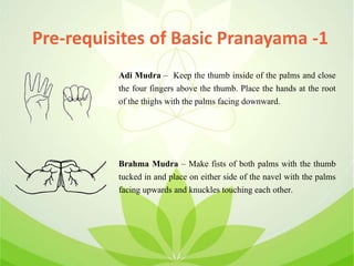 Adi Mudra – Keep the thumb inside of the palms and close
the four fingers above the thumb. Place the hands at the root
of the thighs with the palms facing downward.
Brahma Mudra – Make fists of both palms with the thumb
tucked in and place on either side of the navel with the palms
facing upwards and knuckles touching each other.
Pre-requisites of Basic Pranayama -1
 