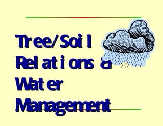 Tree/Soil  Relations &  Water Management 