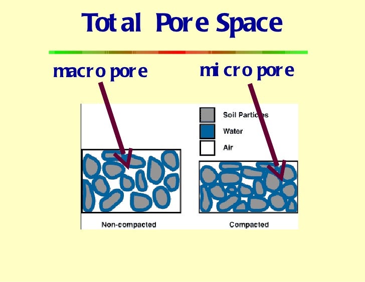 Basic soils arborist version 2010