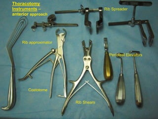 Instruments For Rib Extraction basic spinal instrument.docx