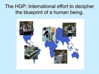 The HGP: International effort to decipher
the blueprint of a human being.
 