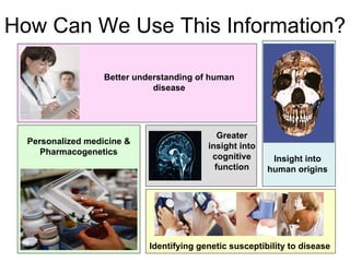 How Can We Use This Information?
Better understanding of human
disease
Insight into
human origins
Personalized medicine &
Pharmacogenetics
Identifying genetic susceptibility to disease
Greater
insight into
cognitive
function
 