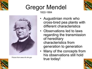 Gregor Mendel
1822-1884
• Augustinian monk who
cross-bred pea plants with
different characteristics
• Observations led to laws
regarding the transmission
of hereditary
characteristics from
generation to generation
• Many of the concepts from
his observations still hold
true today!
Picture from www.nih.nlm.gov
 