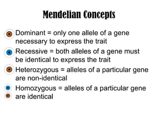 Mendelian Concepts
Dominant = only one allele of a gene
necessary to express the trait
Recessive = both alleles of a gene must
be identical to express the trait
Heterozygous = alleles of a particular gene
are non-identical
Homozygous = alleles of a particular gene
are identical
 