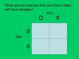 What are the chances Kim and Dan’s baby
will have dimples?
Dan
d
d
D d
Kim
 