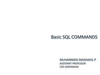 Basic sql Commands | PPT image.