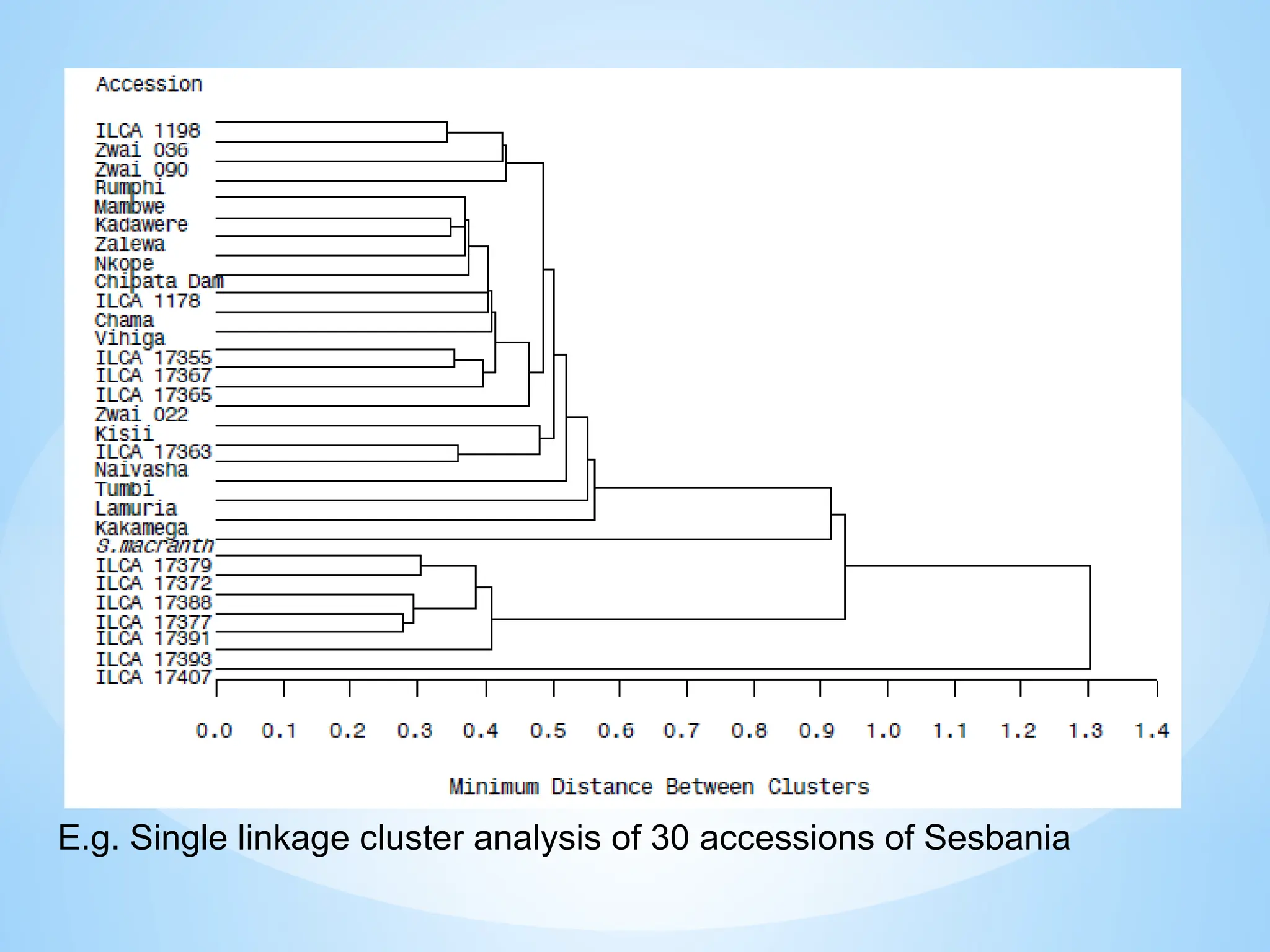 E.g. Single linkage cluster analysis of 30 accessions of Sesbania
 