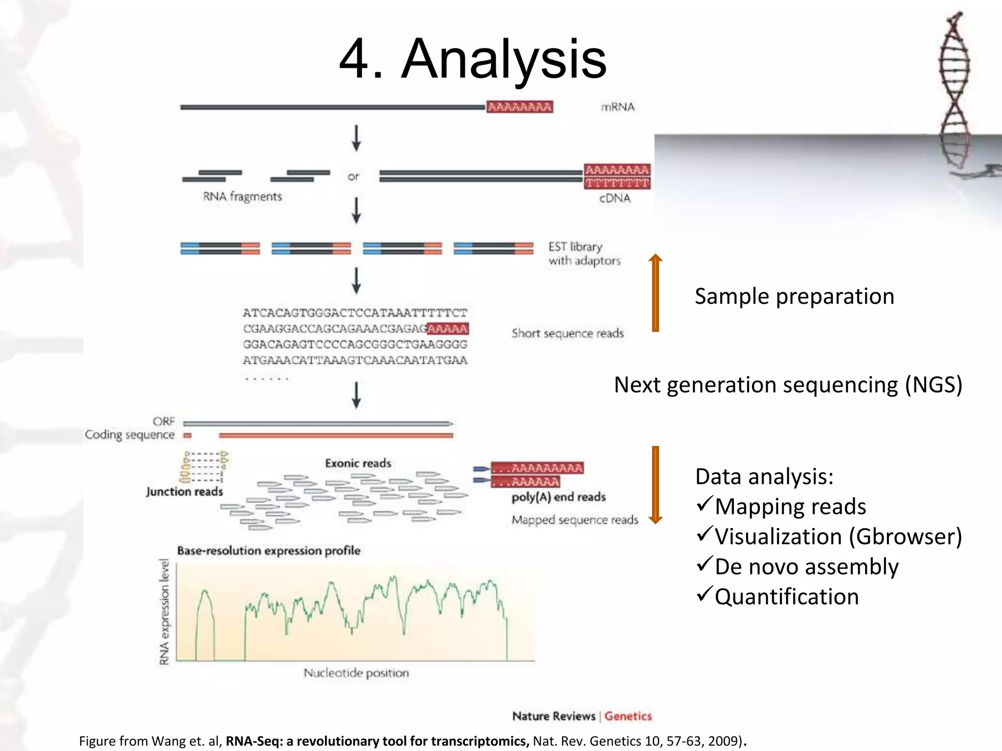 Basic Steps of the NGS Method | PPTX