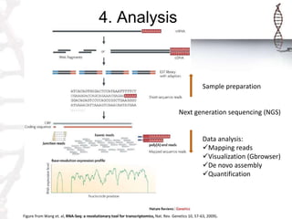Basic Steps of the NGS Method | PPTX
