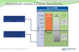 Adapted from Snijders et al. Journal of Pathology 2003; 201:1-6 Analytical versus Clinical Sensitivity The Analytical Sensitivity of PCR methods can be <10 copies of HPV DNA The Analytical Sensitivity of HC2 is 5,000 copies of HPV DNA 