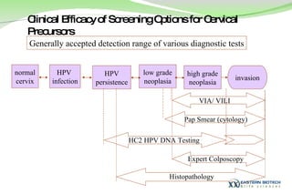 Clinical Efficacy of Screening Options for Cervical Precursors Generally accepted detection range of various diagnostic tests normal cervix HPV  infection HPV persistence high grade  neoplasia invasion low grade  neoplasia Pap Smear (cytology) HC2 HPV DNA Testing VIA/ VILI Histopathology Expert Colposcopy 
