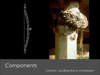 Columns – buckling due to compression
Components
 