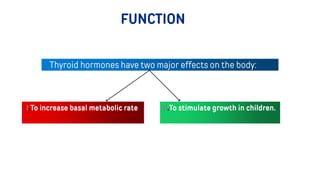 FUNCTION
Thyroid hormones have two major effects on the body:
I.To increase basal metabolic rate II.To stimulate growth in children.
 