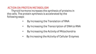 ACTION ON PROTEIN METABOLISM
Thyroid hormone increases the synthesis of proteins in
the cells. The protein synthesis is accelerated by the
following ways:
• By Increasing the Translation of RNA
• By Increasing the Transcription of DNA to RNA
• By Increasing the Activity of Mitochondria
• By Increasing the Activity of Cellular Enzymes
 