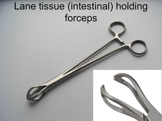 Lane tissue (intestinal) holding
forceps
 