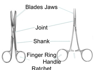 Blades Jaws
Joint
Shank
Finger Ring
Handle
 