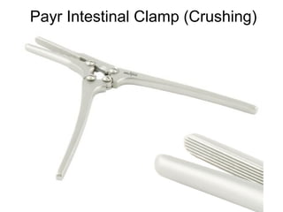 Payr Intestinal Clamp (Crushing)
 