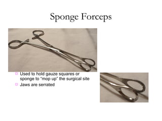 Sponge Forceps
 Used to hold gauze squares or
sponge to “mop up” the surgical site
 Jaws are serrated
 
