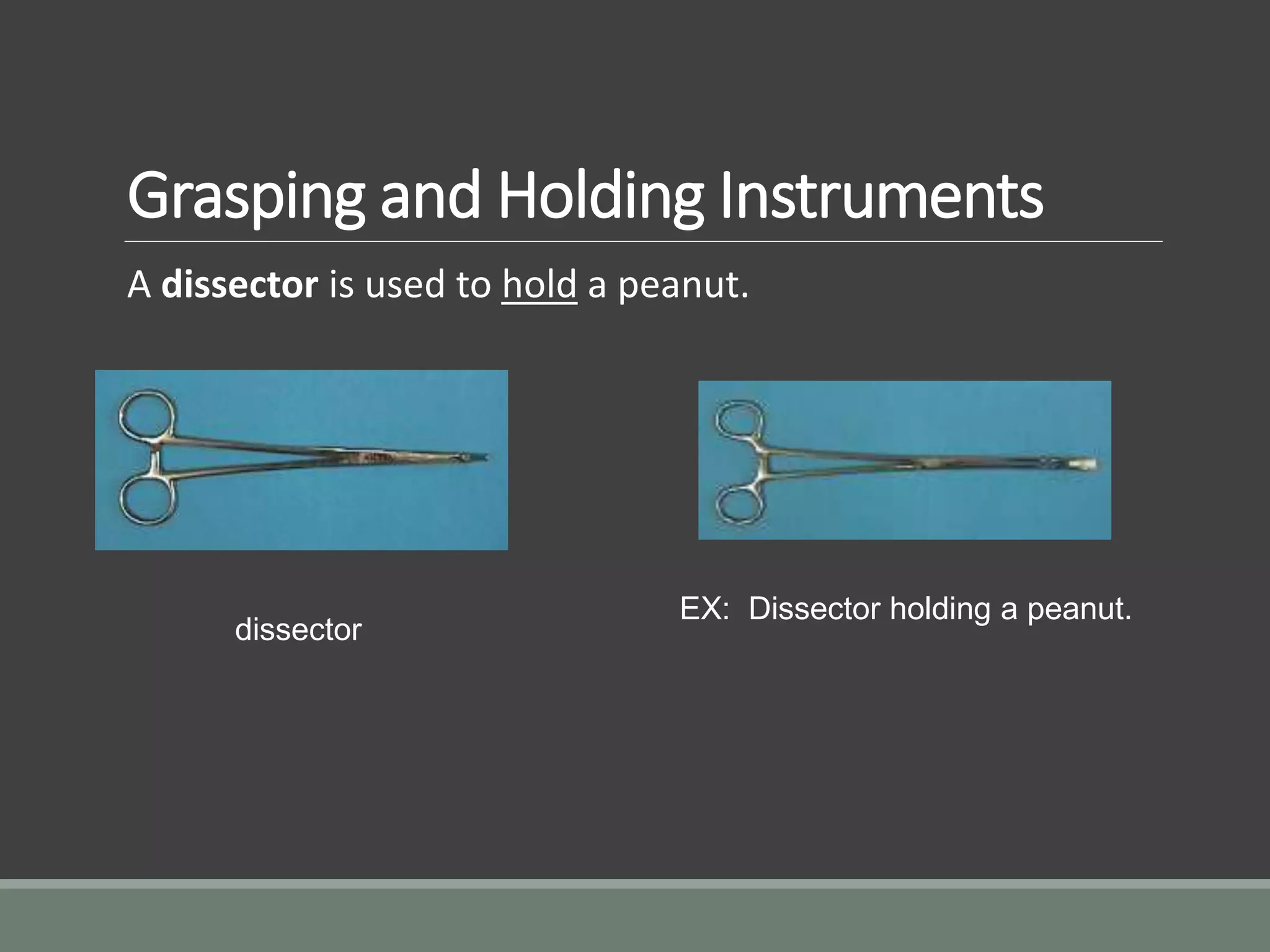 Grasping and Holding Instruments
A dissector is used to hold a peanut.
dissector
EX: Dissector holding a peanut.
 