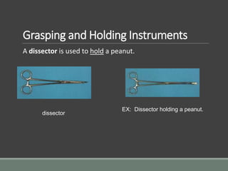 Grasping and Holding Instruments
A dissector is used to hold a peanut.
dissector
EX: Dissector holding a peanut.
 