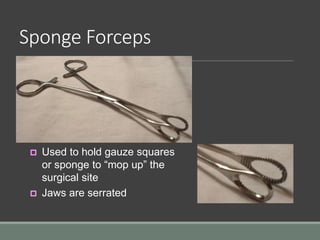 Sponge Forceps
 Used to hold gauze squares
or sponge to “mop up” the
surgical site
 Jaws are serrated
 