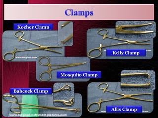 Kelly Clamp
Mosquito Clamp
Kocher Clamp
Allis Clamp
Babcock Clamp
 