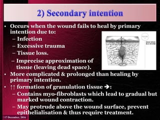 • Occurs when the wound fails to heal by primary
intention due to:
– Infection
– Excessive trauma
– Tissue loss.
• More complicated & prolonged than healing by
primary intention.
• ↑↑ formation of granulation tissue :
– Contains myo-fibroblasts which lead to gradual but
marked wound contraction.
– May protrude above the wound surface, prevent
epithelialisation & thus require treatment.
– Imprecise approximation of
tissue (leaving dead space).
 