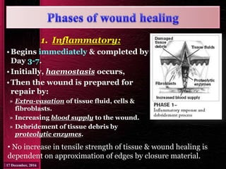 1. Inflammatory:
•Begins immediately & completed by
Day 3-7.
•Initially, haemostasis occurs,
•Then the wound is prepared for
repair by:
» Extra-vasation of tissue fluid, cells &
fibroblasts.
» Increasing blood supply to the wound.
» Debridement of tissue debris by
proteolytic enzymes.
• No increase in tensile strength of tissue & wound healing is
dependent on approximation of edges by closure material.
 