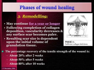 3. Remodelling:
• May continue for a year or longer
• Following completion of collagen
deposition, vascularity decreases &
any surface scar becomes paler.
• Resulting scar size is dependent
upon the initial volume of
granulation tissue.
 The percentage recovery of the tensile strength of the wound is:
– About 20% after 2 weeks
– About 50% after 5 weeks
– About 80% after 10 weeks
 