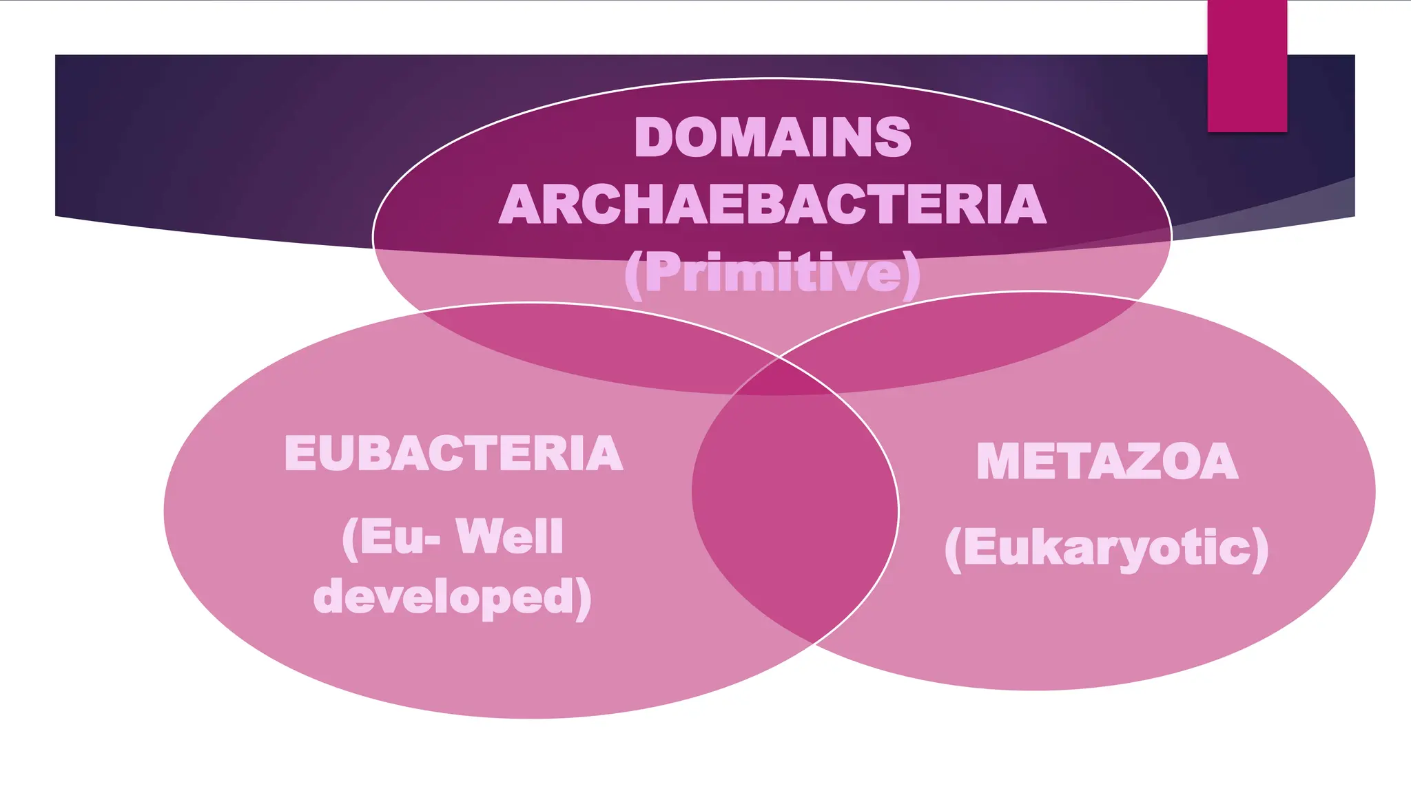 DOMAINS
ARCHAEBACTERIA
(Primitive)
METAZOA
(Eukaryotic)
EUBACTERIA
(Eu- Well
developed)