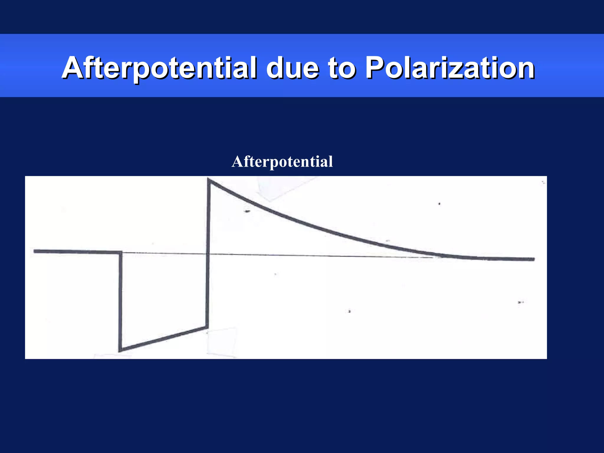 Afterpotential due to PolarizationAfterpotential due to Polarization
Afterpotential
 