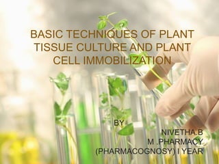 BASIC TECHNIQUES OF PLANT
TISSUE CULTURE AND PLANT
CELL IMMOBILIZATION
BY
NIVETHA.B
M .PHARMACY
(PHARMACOGNOSY) I YEAR1
 