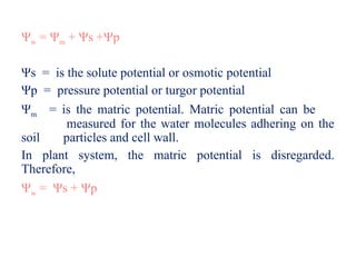 Metric Potential basic terminology of plant physiology.pptx