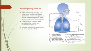 Airway opening pressure
 often called mouth pres) (Fig. 1-1).
Other terms that are often used to
describe the airway opening pressure
include upperairway pressure, mask
pressure, or proximal airway pressure.
 Unless pressure is applied at the
airway opening, Pawo is zero
oratmospheric pressure.
 A similar measurement is the pressure
at the body surface (Pbs).
 