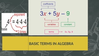 BASIC TERMS IN ALGEBRA
 