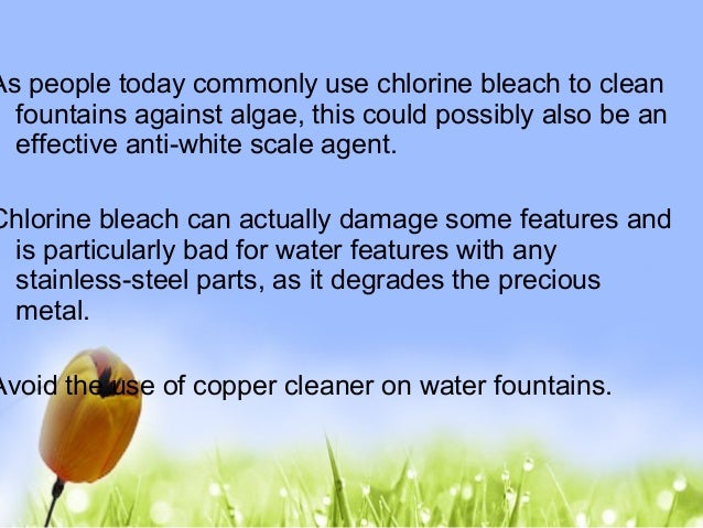 Basic Things To Do In Maintaining A Water Fountain