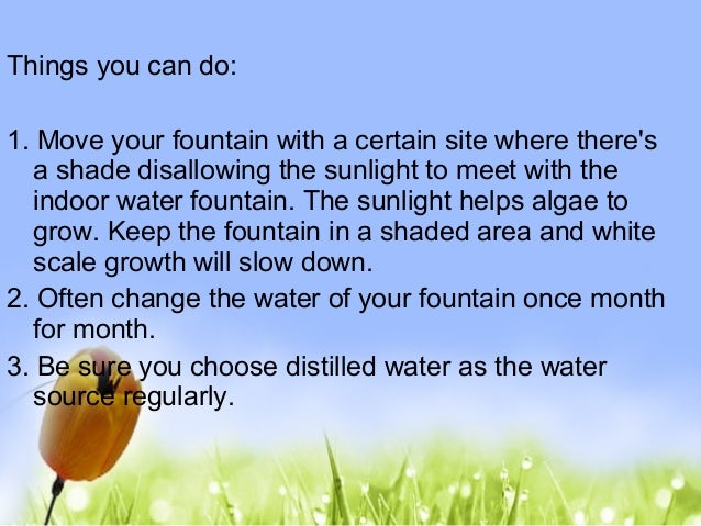 Basic Things To Do In Maintaining A Water Fountain